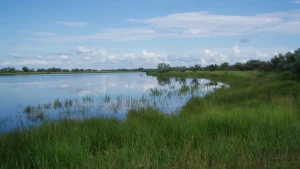 Національний природний парк “Нижньодніпровський”