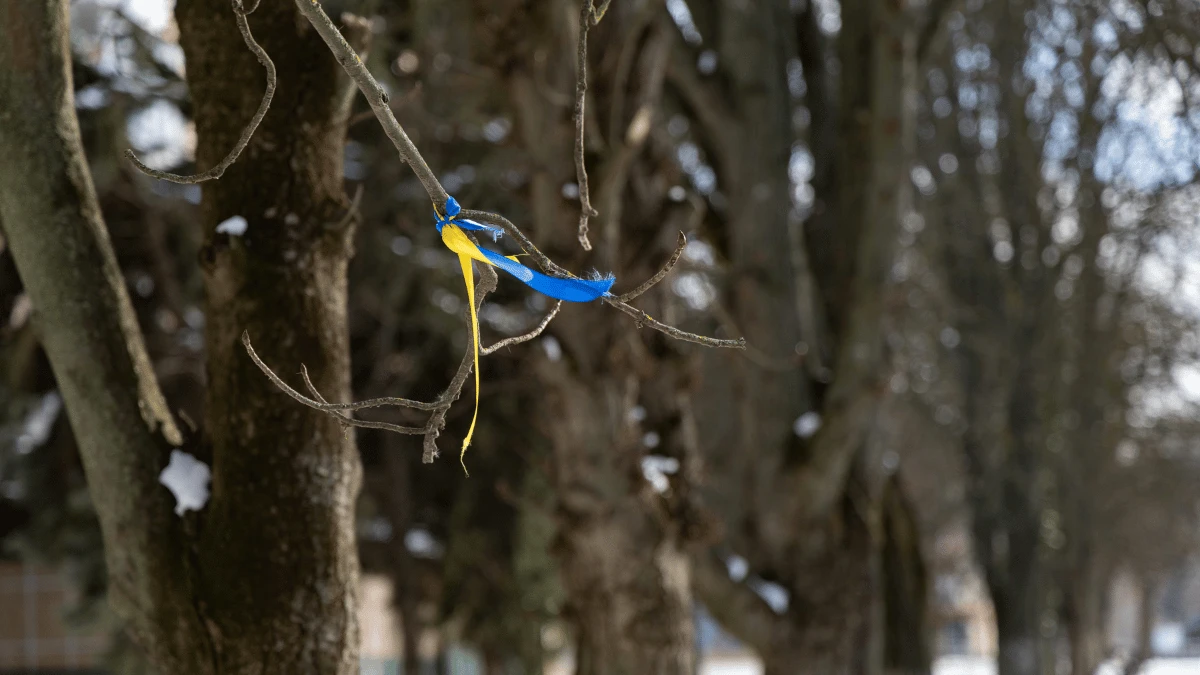 Фото: Олександр Андрющенко/Вгору