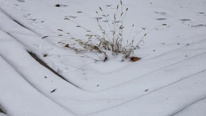 погода, сніг у Херсоні