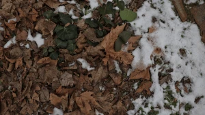 Зображення ілюстративне. Фото: Олена Гнітецька/"Вгору"