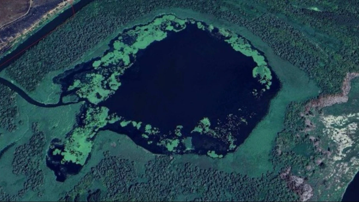 Супутникове фото ділянки НПП "Нижньодніпровський"