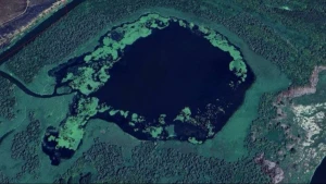 Супутникове фото ділянки НПП "Нижньодніпровський"