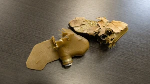 Міни типу “пелюстка”