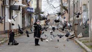 погода, голуби, Херсон