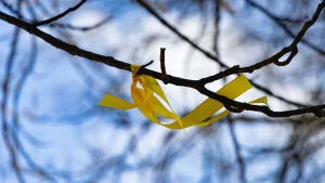 стрічка на дереві