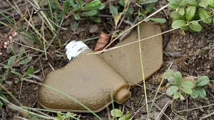 Міна типу Пелюстка ПФМ-1