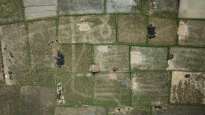 Зображення ілюстративне. Canva