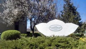 Наддніпрянське