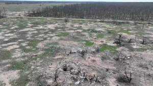 Вид на Кринки з дрона