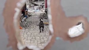 Наслідки обстрілу Корабельного району Херсона