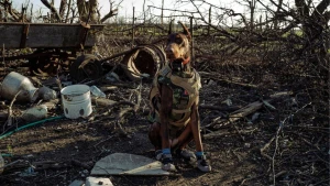 Фото: Павлоградський пошуково-рятувальний кінологічний загін "Антарєс".