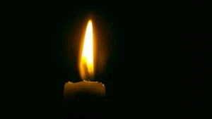 Зображення ілюстративне. Canva