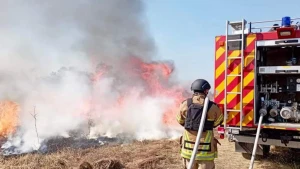 рятувальник