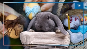 У колажі використанні фото Олександра Андрющенка/”Вгору” та ілюстративне зображення/Сanva. Колаж: Вікторія Трохимчук/”Вгору”
