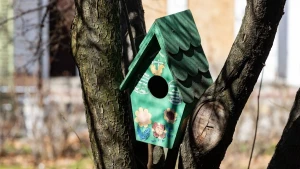 Херсон у березні, 2026 рік