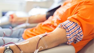 Зображення ілюстративне. Canva