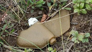 Міна типу Пелюстка ПФМ-1