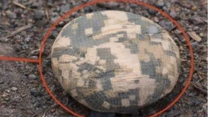 Протипіхотна міна типу “Пряник” Плюшка