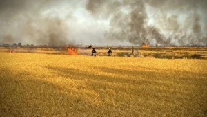 Горіло поле на Херсонщині 