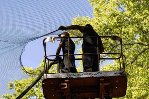 Облаштування антидронового захисту на одній з вулиць Херсона 