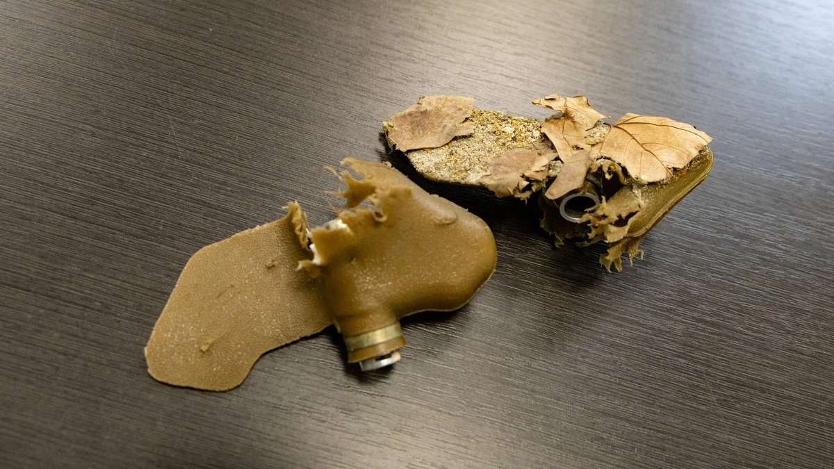 Міни типу “пелюстка”