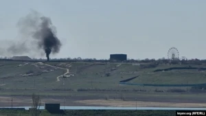 Стовп диму біля парку левів "Тайган" у Криму