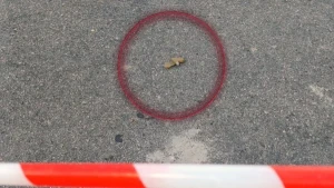 Дистанційне мінування території медзакладу в Херсоні