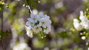 Квітень у Херсоні 2026 року