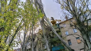 Ліквідація наслідків негоди у Херсоні