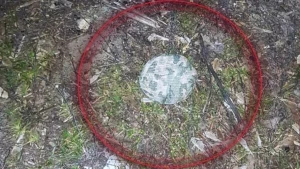 Протипіхотна міна типу “Пряник”. Фото зі сторінки поліції Херсонщини