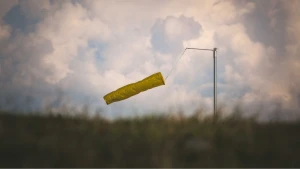 Зображення ілюстративне. Canva