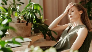 Зображення ілюстративне. Сanva