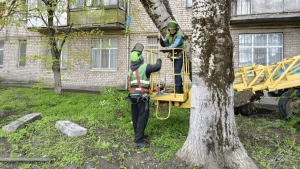 Зображення ілюстративне. Фото: сторінка КП "Парки Херсона"