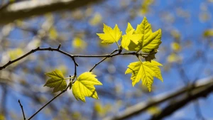 Фото: Олександра Андрющенка / "Вгору"