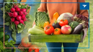 Колаж: Вікторія Трохимчук / “Вгору”. У колажі використані ілюстративні зображення / Canva