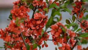 Фото Олександра Андрющенка/"Вгору"