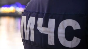 МЧС