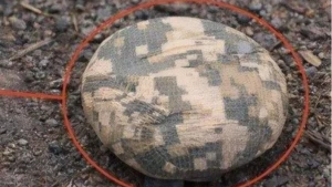 міна