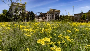 погода, квіти