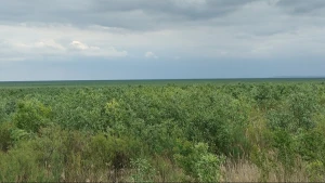 Експедиція на дно колишнього Каховського водосховища 