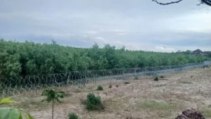 Дно колишнього Каховського водосховища