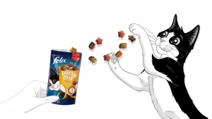 Домашній кіт їсть ласощі Purina з рук власника під час гри та навчання
