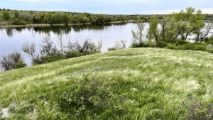 Фото зі сторінки НПП "Кам'янська Січ"