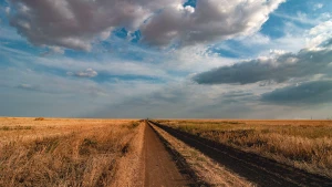 Фото Олександра Андрющенка
