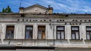 погода, будинок, голуби