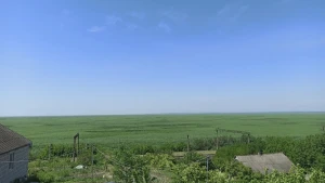 Фото: Максим Сорока
