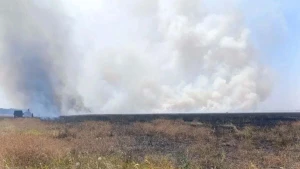 біосферний заповідник "Асканія-Нова"