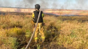 Пожежі в екосистемах на Херсонщині 