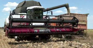 Аграрії на окупованому РФ лівобережжі Херсонщини збирають зерно в полі, 2026 рік. Фото з Генічеського району. Джерело: окупаційне медіа
