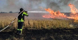 пожежі в екосистемах, ліквідування, пожежники, поле